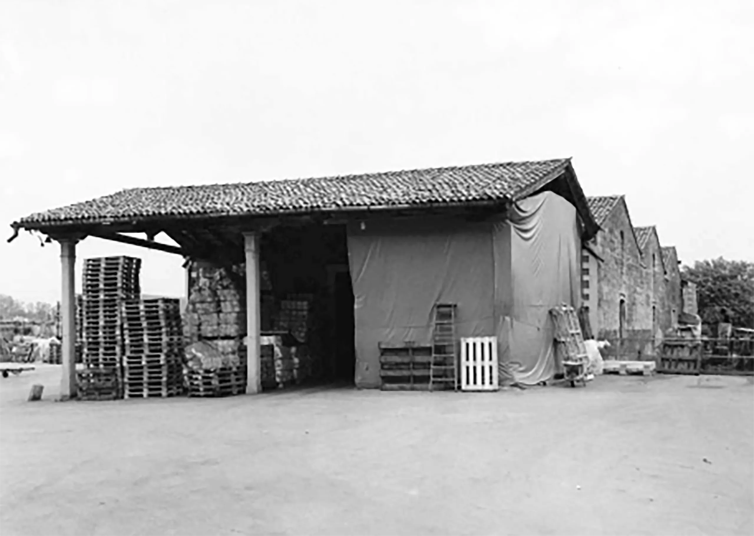 Rigenerazione dello storico complesso Mulini Mandelli tra architettura contemporanea e patrimonio industriale.